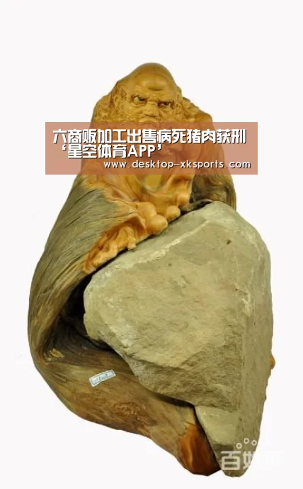 星空体育APP
