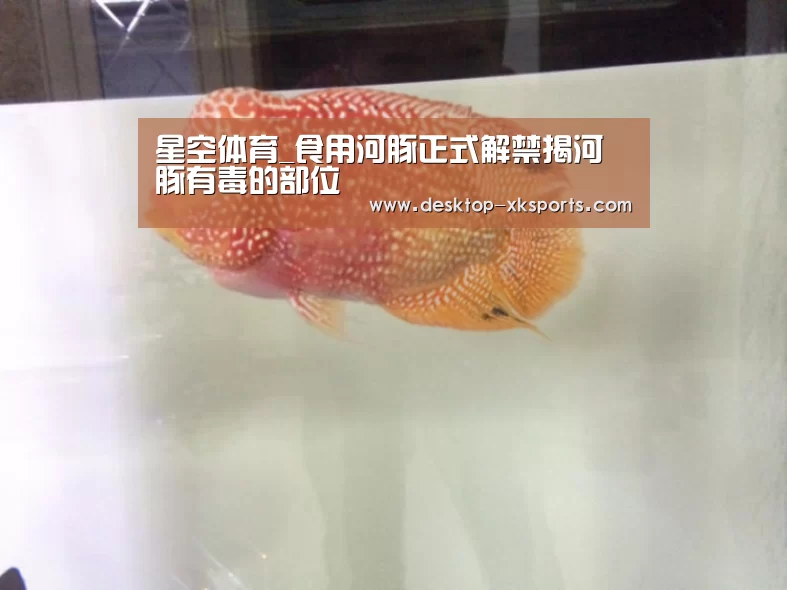 app下载