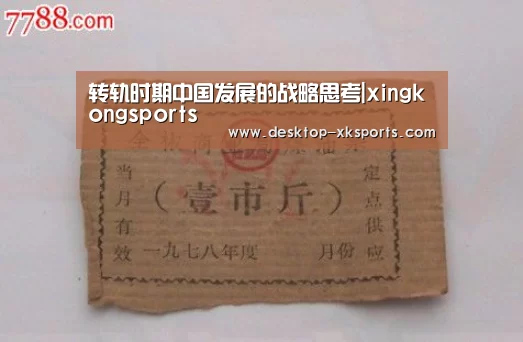 转轨时期中国发展的战略思考|xingkongsports(图1) app下载