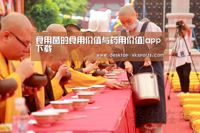 星空体育APP