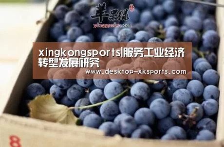 xingkongsports|服务工业经济转型发展研究(图1) 星空体育